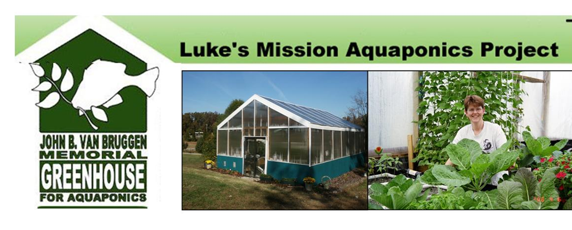Aquaponics | Luke's Mission-serving the Lord in Haiti